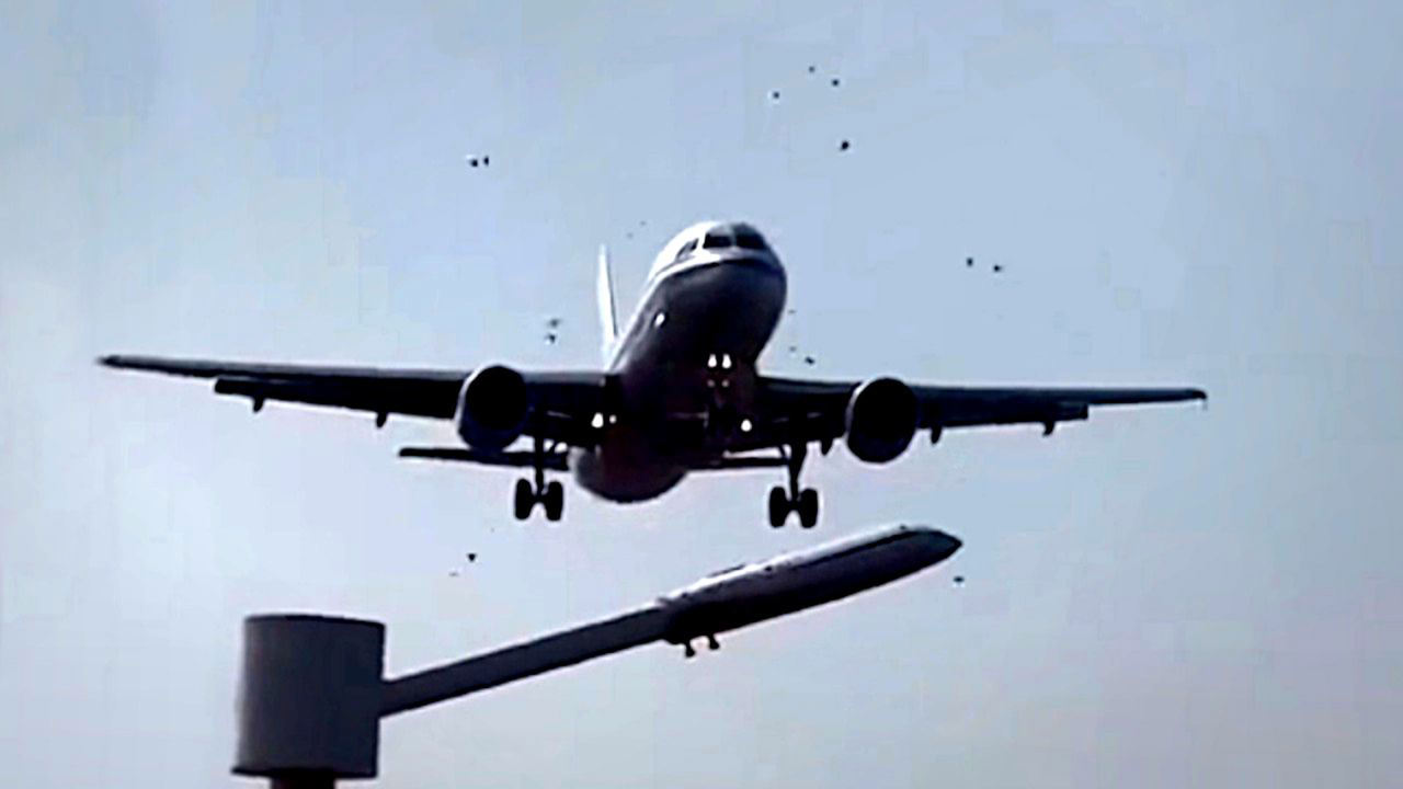 Plane Collides With Flock Of Birds