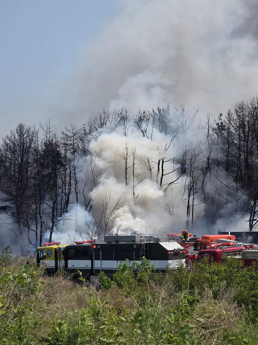 Navy Plane Crashes in South Korea